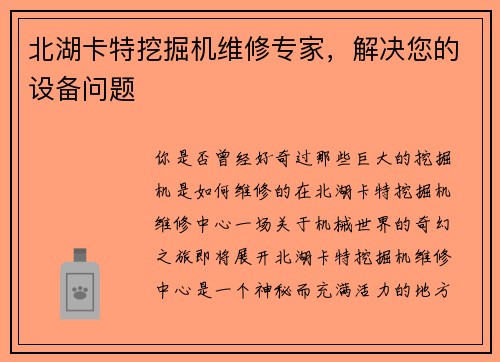 北湖卡特挖掘机维修专家，解决您的设备问题